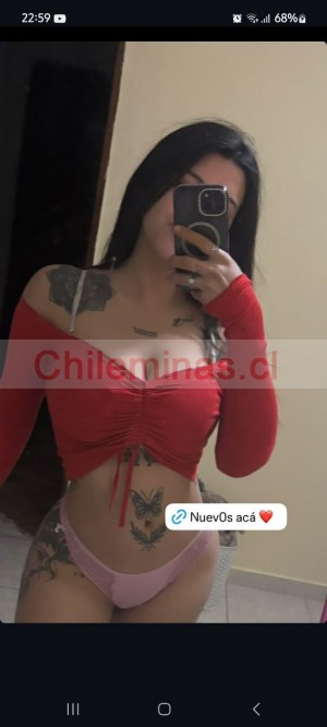 Alejandra Damas de compa&ntilde;ia en Chile, escort o acompa&ntilde;antes femeninas en Papudo |  Hola soy alejandra una chica scort , Lo mas sexy y encantadora  y sexy para todo tipo de servicios 